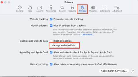 Privacy tab highlighted at the top of the Settings page. Manage Website Data is highlighted on the page.