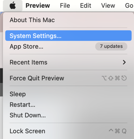 When clicking on the Apple logo, a drop down menu with system settings... is highlighted