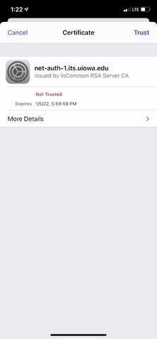 screenshot of net-auth-1 External CA certificate on iOS