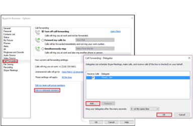 Adding Delegate within Call Forwarding Menu