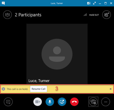 Call Controls -Call on Hold - Windows 2019-03-18