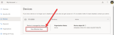 Click on the View Bitlocker Keys button