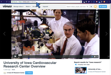 Screenshot of Vimeo video website, noting URL
