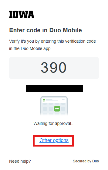 Image shows the blue "other options" link at the bottom of the Duo prompt which can be clicked on.