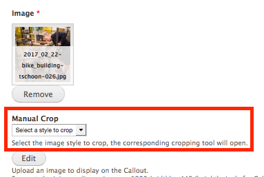 Image field with a list of Manual Crop styles