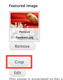 Crop button below an image field