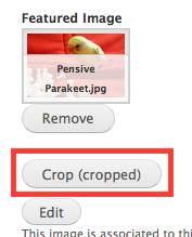 Crop button text has changed to "crop (cropped)"